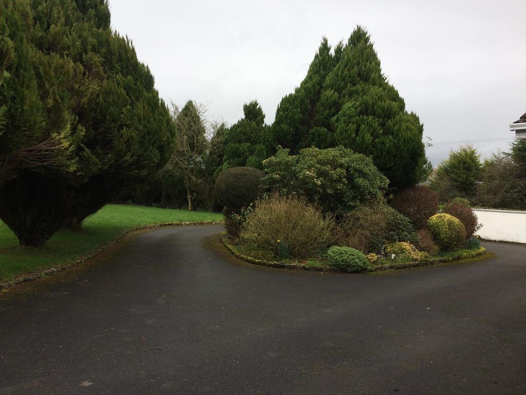 Palm Grove B&B Cashel (Tipperary) Zewnętrze zdjęcie