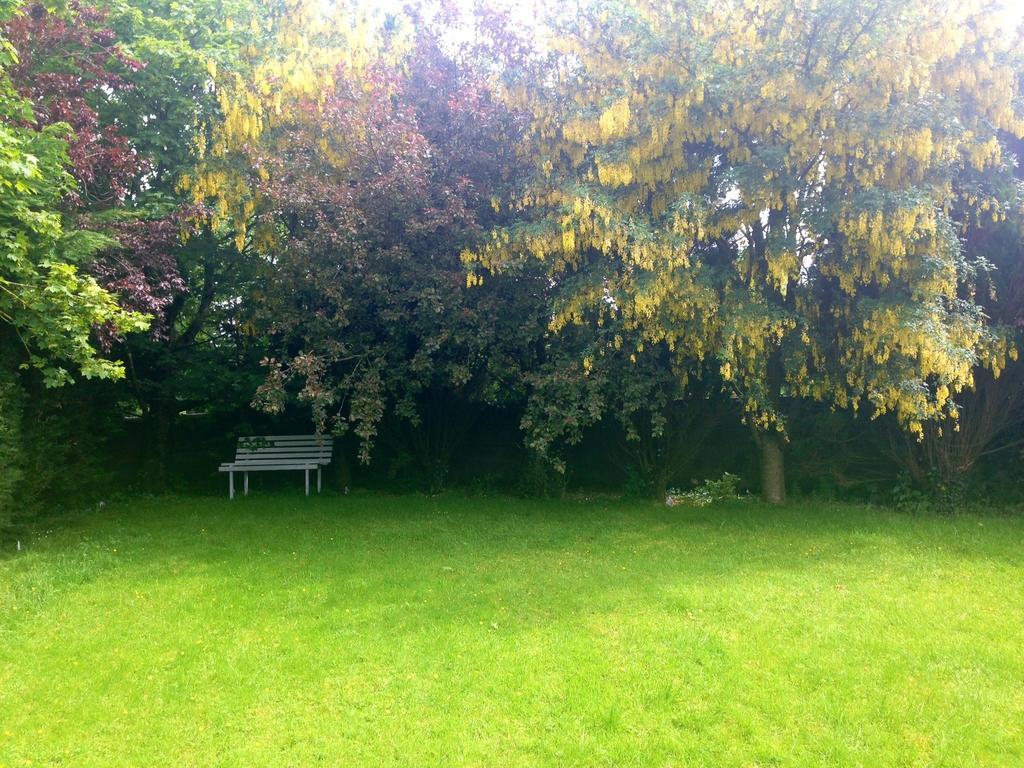 Palm Grove B&B Cashel (Tipperary) Pokój zdjęcie